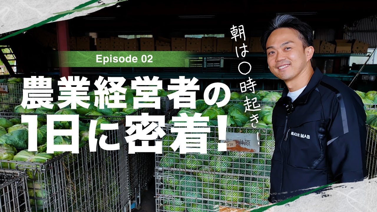 【密着】株式会社MAB社長の1日に密着#MAB #会社 #農業 #野菜