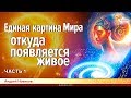 Единая картина Мира. Откуда появляется живое. Андрей Новиков. Часть 1