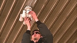 7-in-1 Light-Bulb Splitter Puts 7 Bulbs Into One Socket