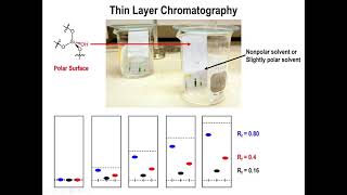 Lec2 - Thin Layer Chromatography (TLC)