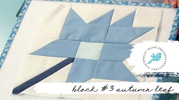 RBD Block Challenge 2022 #3: Autumn Leaf Block
