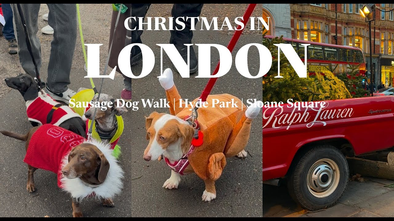 Sausage Dog Christmas Walk 🎄🐶 | Hyde Park & Ralph Lauren Market at