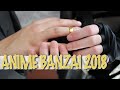 Anime Banzai 2018 "Cool" || Fan Video