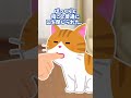 【ほっこり】天然猫、処理速度やや遅め