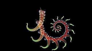 HD Video Feedback Fractal Device: The Tree Spirit