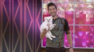 高以翔 Godfrey Gao (1984~2019)