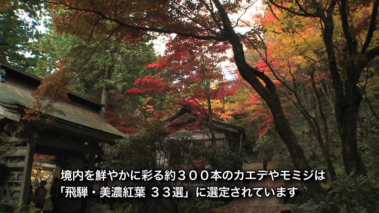 揖斐川町谷汲 横蔵 両界山横蔵寺の紅葉 Youtube