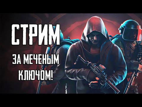 Стрим Тарков ПВЕ! За меченый ключ и двор!.. Escape from Tarkov PVE