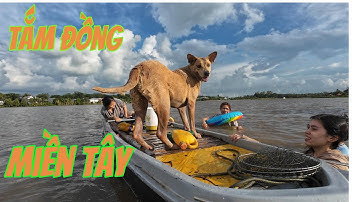 Cuộc Sống Dân Dã Miền Tây Mùa Nước Nổi | Bắt Cá, Mò Ốc,Tắm Đồng || Biên An Giang