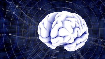 Computers That Think Like Humans