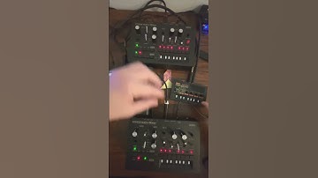 Linked Korg Monotribe into Korg Monotron Delay into Zoom G1X Four June 26th 2024