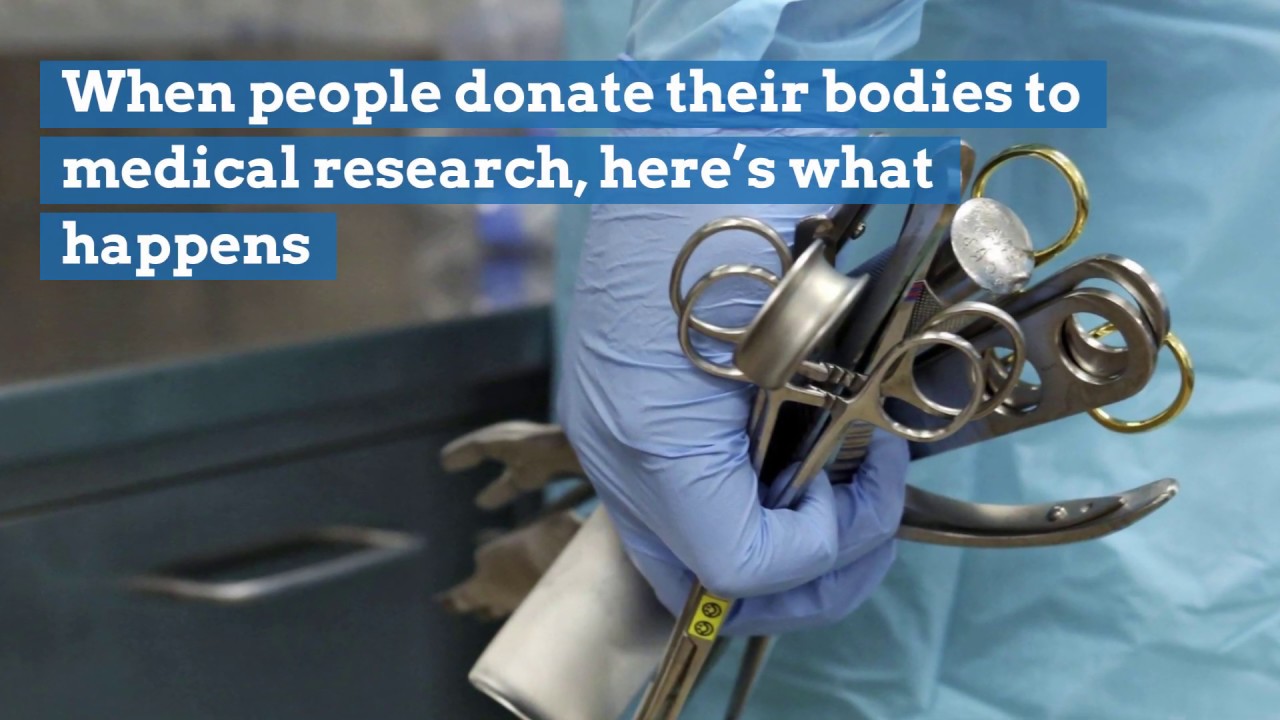 donate body to medical research uk