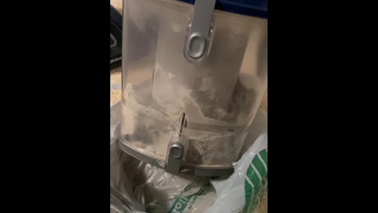 Vacuuming Guest Room (Post-Makeover)