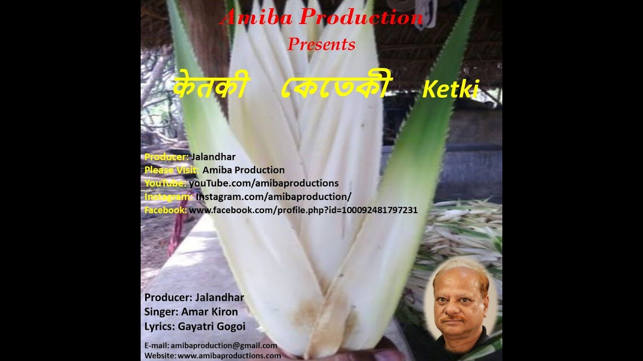 Ketki flower produced by Jalandhar YouTube