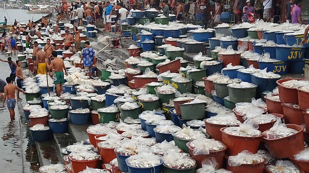 # PH ASSORTED FISH & TAMBAN SARDINES & DRIED FISH @ BULAN SORSOGON CITY PH