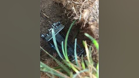 Gopher trapping trap setting