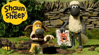 Watch Out For The Crafty Fox! 😱 Shaun the Sheep Season 2 Full Episodes🐑 Cartoons for Kids