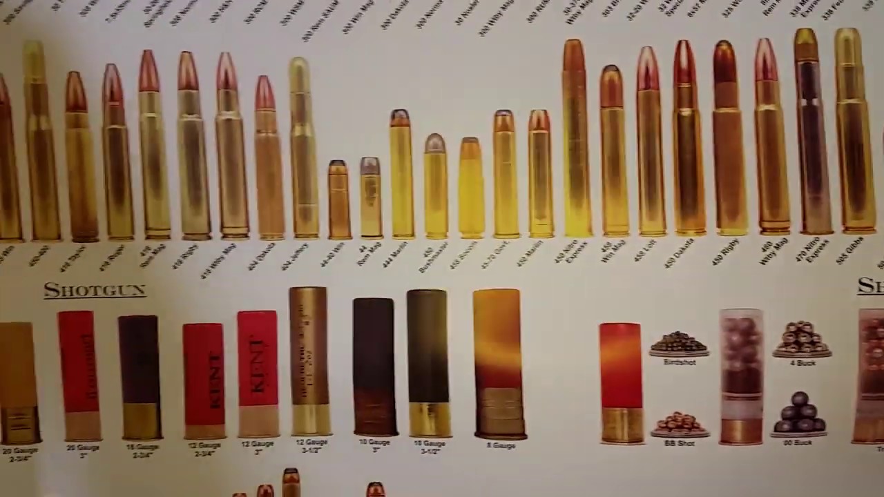 Ammo Poster GIFT - Thank You - Mail Call Monday gun talk lyrics
