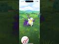 Pokemon GO - Shadow Sandshrew (iPhone 15 Pro Max) Pokémon GO #mmtopokemongo