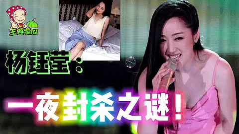 杨钰莹：玉女歌手被一夜封杀之谜，与赖文峰的恋爱始末！【上集】@王婆说瓜 - 天天要闻