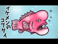 イケメンのコブダイ【アニメ　読み聞かせ絵本】