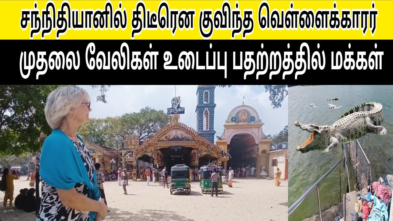 சந்நிதியானில் பிடிபடும் முதலைகள்!!!