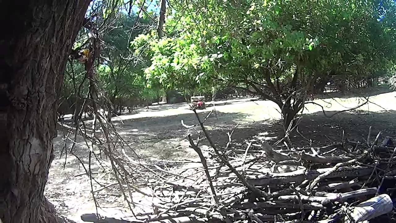 War on the range YouTube