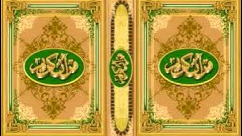سورة الشوري   أحمد نعينع