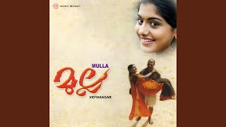 Kannin Vaathil Male Version