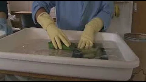 How to salvage flood damaged documents