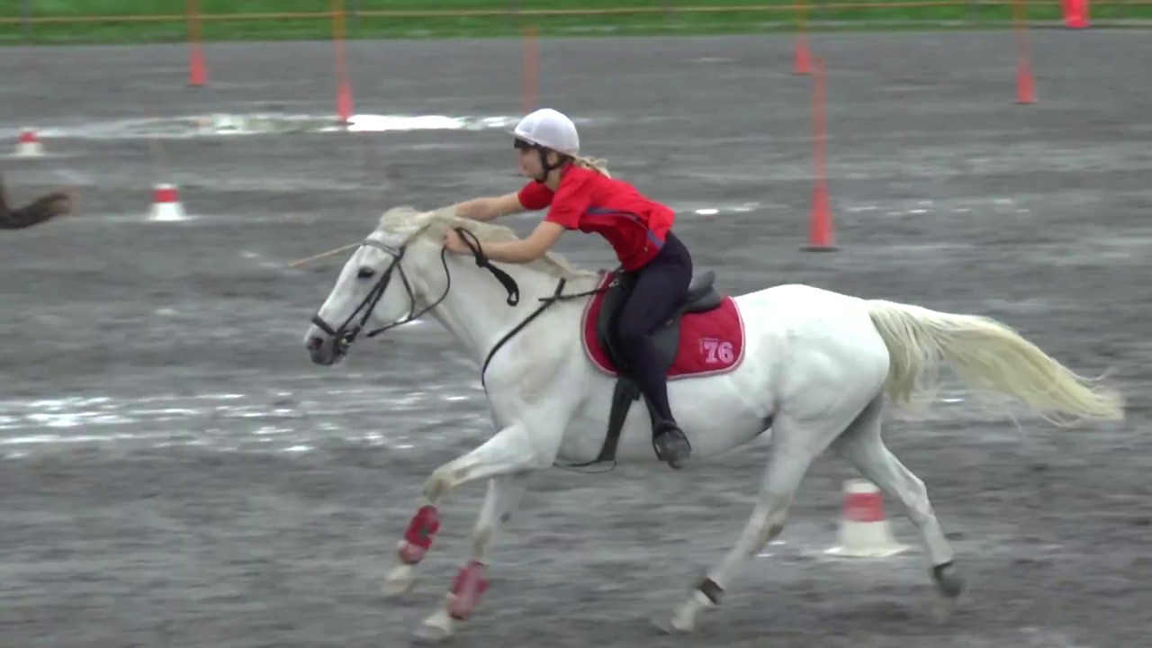 Nordisk individuelt 2017- Marte og Tyrone Crystal