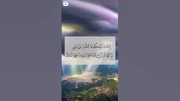 أسمع هذا الكلام 