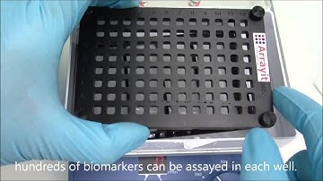 Microarray Wash Tray &  Multi-Well Hybridization Cassettes