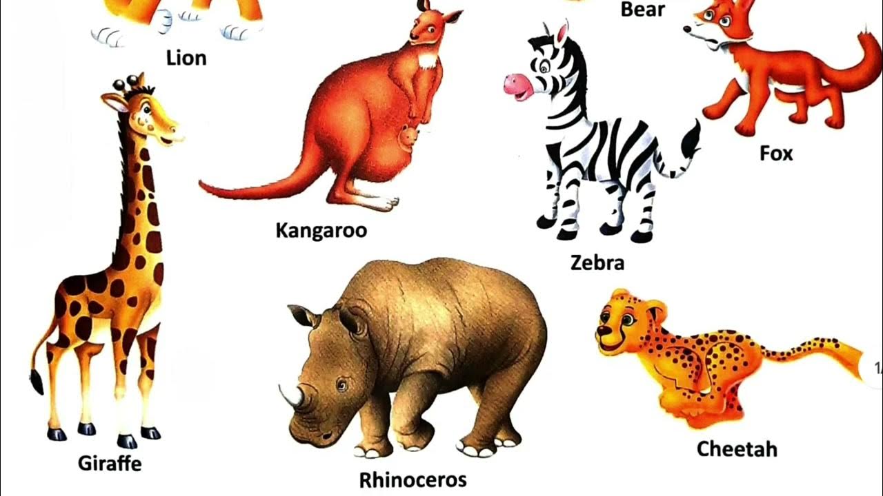 wild-animals-spelling-with-correct-pronunciation-with-bengali