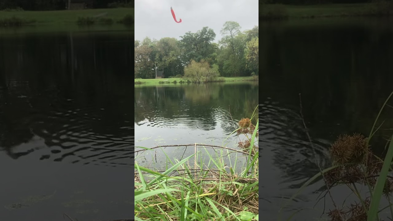Bass fishing
