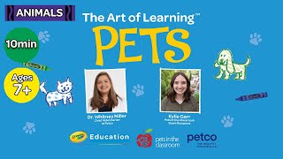 Pets in the Classroom | A Learning & Art Activity for Students | Educational Videos for Kids