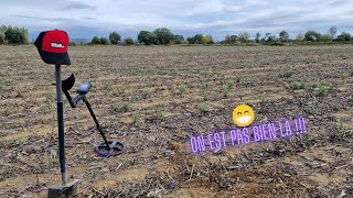 New outing in the field with the XP Deus 2 / metal detection