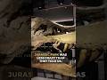 They said it was Impossible: Dinosaur soft tissue Found!