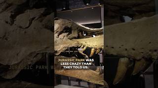 They said it was Impossible: Dinosaur soft tissue Found!