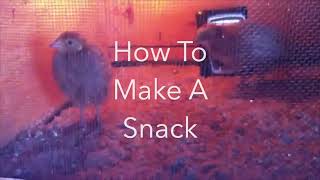 How To Make A Snack @WormTutorial