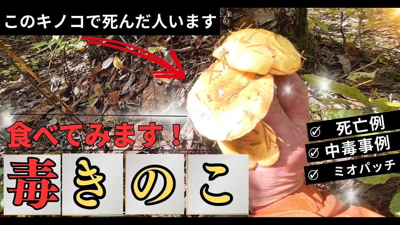 I tried eating a difficult-to-identify poisonous mushroom. - YouTube