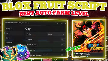Vxeze Hub Roblox Script | New Blox Fruits Script Update Best Auto Farm Level