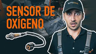 Video-guías sobre cómo reparar y reemplazar Motor usted mismo