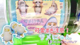 【サメにゃん】とっても可愛い「サメ×にゃんこ」のフィギュアガチャを回しました。