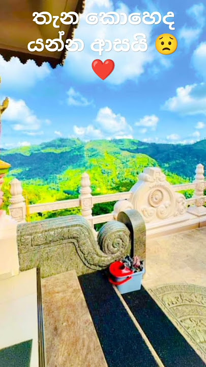 කවුද ගිහින් තියෙන්නෙ ❤️😌#srilanka #kubalwela #buddhism