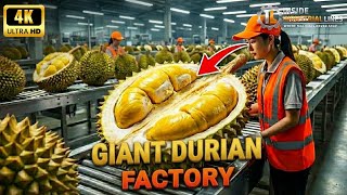 Inside the 500,000 LB Durian Plant: The Most Satisfying Process Ever!