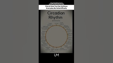 The Secret to Peak Performance is in Your Daily Rhythm! | #CircadianRhythm