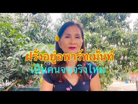 ep 88ฝรั่งอยู่อพาร์ทเม้นท์เป็นฝรั่งทีจนจริงไหม? ถ้าชอบก็ฝากกดไลท์กดติดตามด้วยนะคะ