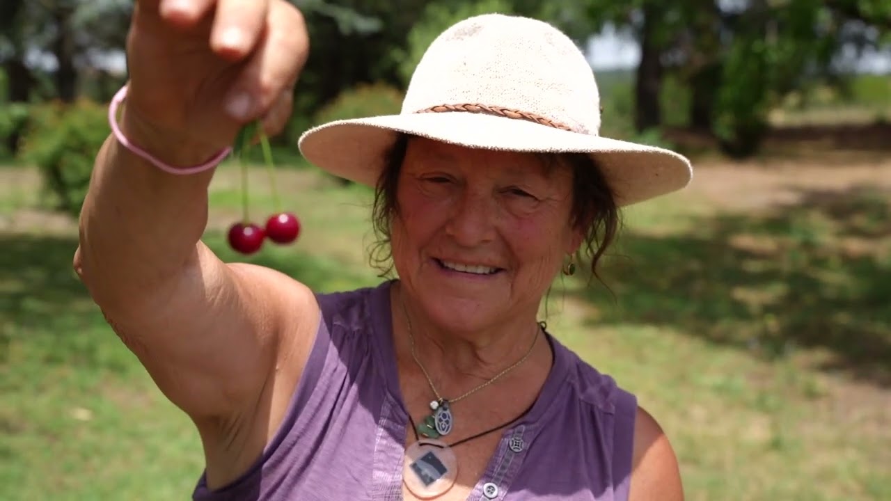 SUNCAVE GARDENS MAGIC 2022