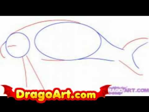 How to draw a manatee, step by step - YouTube